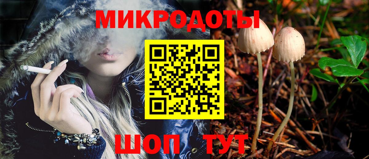 Урюпинск  Галлюциногенные грибы Psilocybe  Вход с VPN 